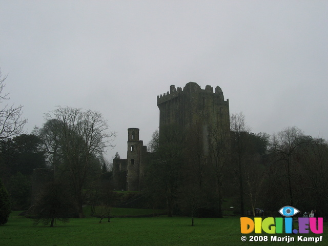 24792 Blarney Castle North Wall